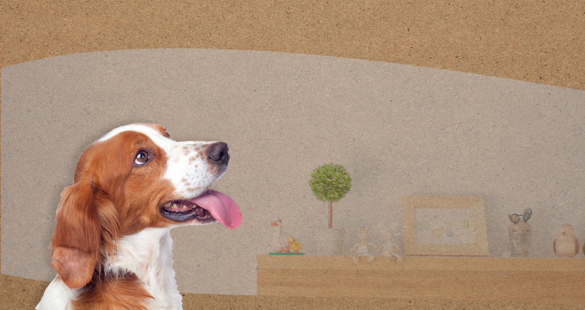 経験豊富な獣医師による診察