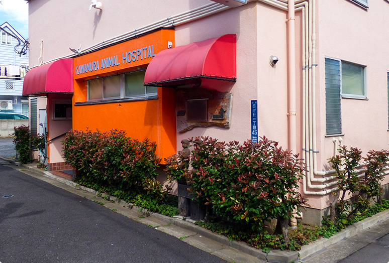 東京都北区の動物病院 川村動物病院　外観画像